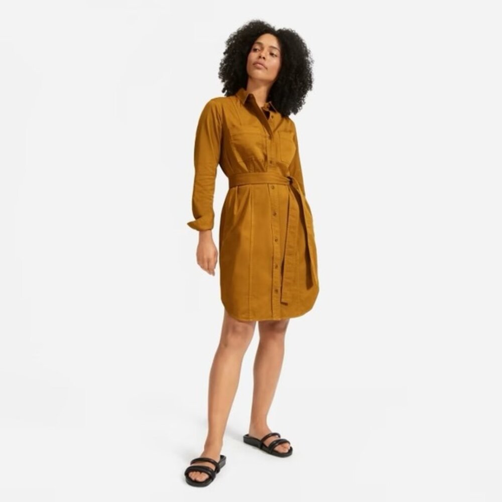 NWOT EVERLANE The Modern Utility Shirtdress with Waist Tie in Brass Yellow sz 8